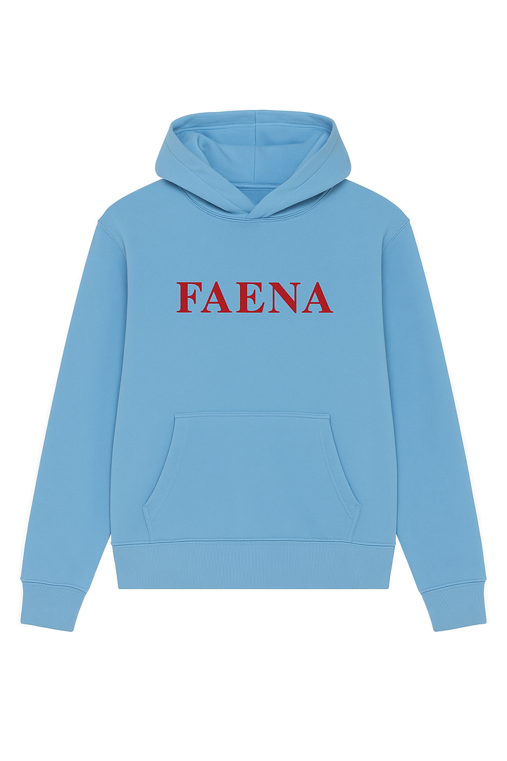 CATHEDRAL HOODIE - LIGHTBLUE